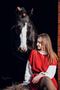 Конеперевозки