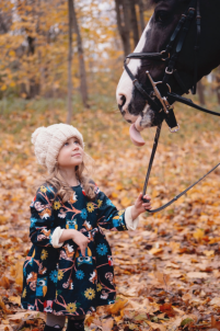 Индивидуальные занятия по конкуру