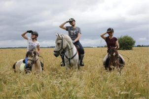 Постой лошадей