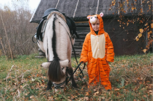 Экскурсия без катания на лошади