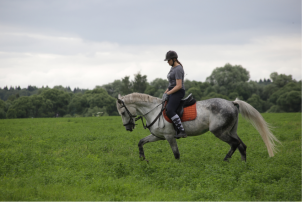 Абонемент на 4 занятия