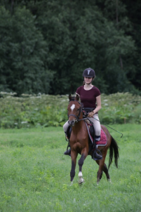 Фотосессия с лошадьми