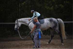 Аренда лошадей