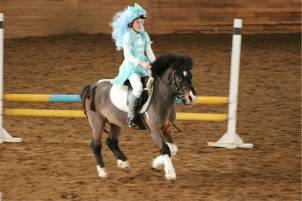 Конные прогулки с обучающей программой
