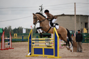 Фотосессия с лошадьми