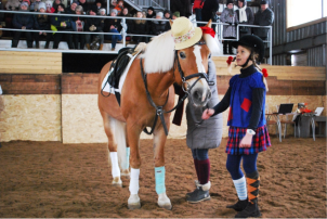 Индивидуальные занятия по конкуру