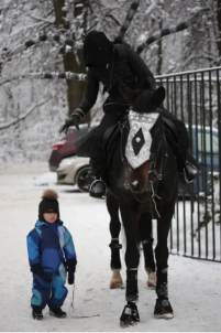 Фотосессия с лошадьми