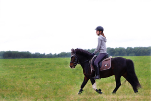 Абонемент на 4 занятия