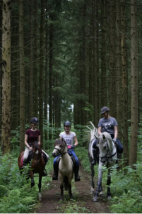 Индивидуальное занятие для детей от 2 до 6 лет