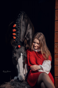 Аренда лошадей