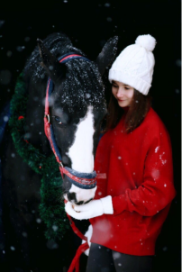 Индивидуальные занятия по конкуру