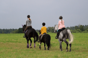 Экскурсия без катания на лошади