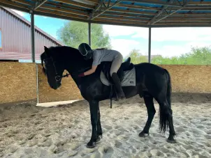 Индивидуальные занятия для взрослых