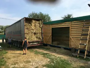 Групповые занятия для детей от 7 до 12 лет