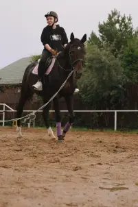 Постой лошадей