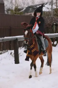 Конеперевозки