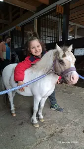 Индивидуальные занятия по выездке