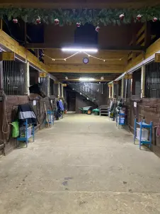 Экскурсия с катанием на лошади