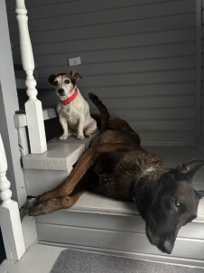 Индивидуальные занятия для взрослых