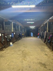 Экскурсия без катания на лошади