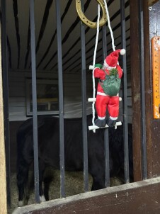 Абонемент на 8 занятий