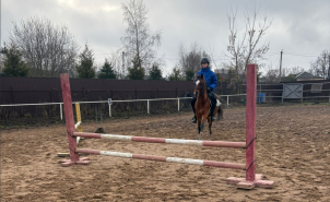 Конные прогулки с обучающей программой