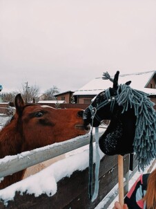 Экскурсия с катанием на лошади