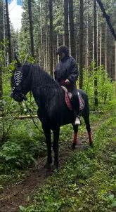 Бронь определенной лошади